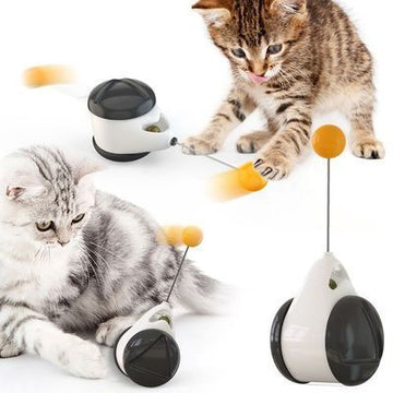 Balance swing car funny cat toy