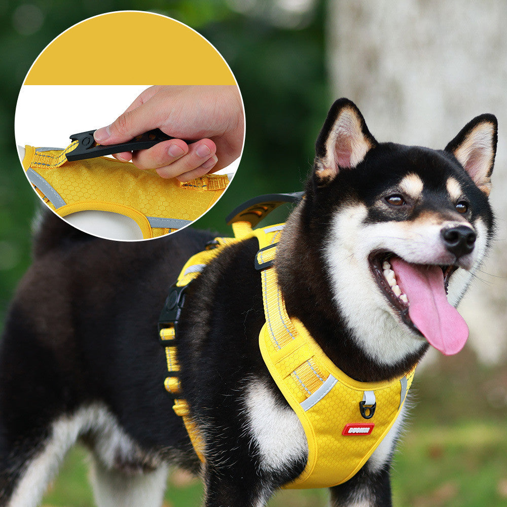 "Reflective Strap for Pet Harness"